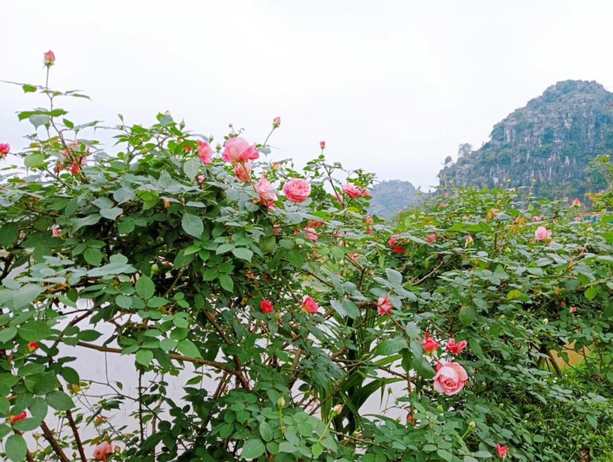 Ninh Binh Green Farmstay La Phu  Buitenkant foto