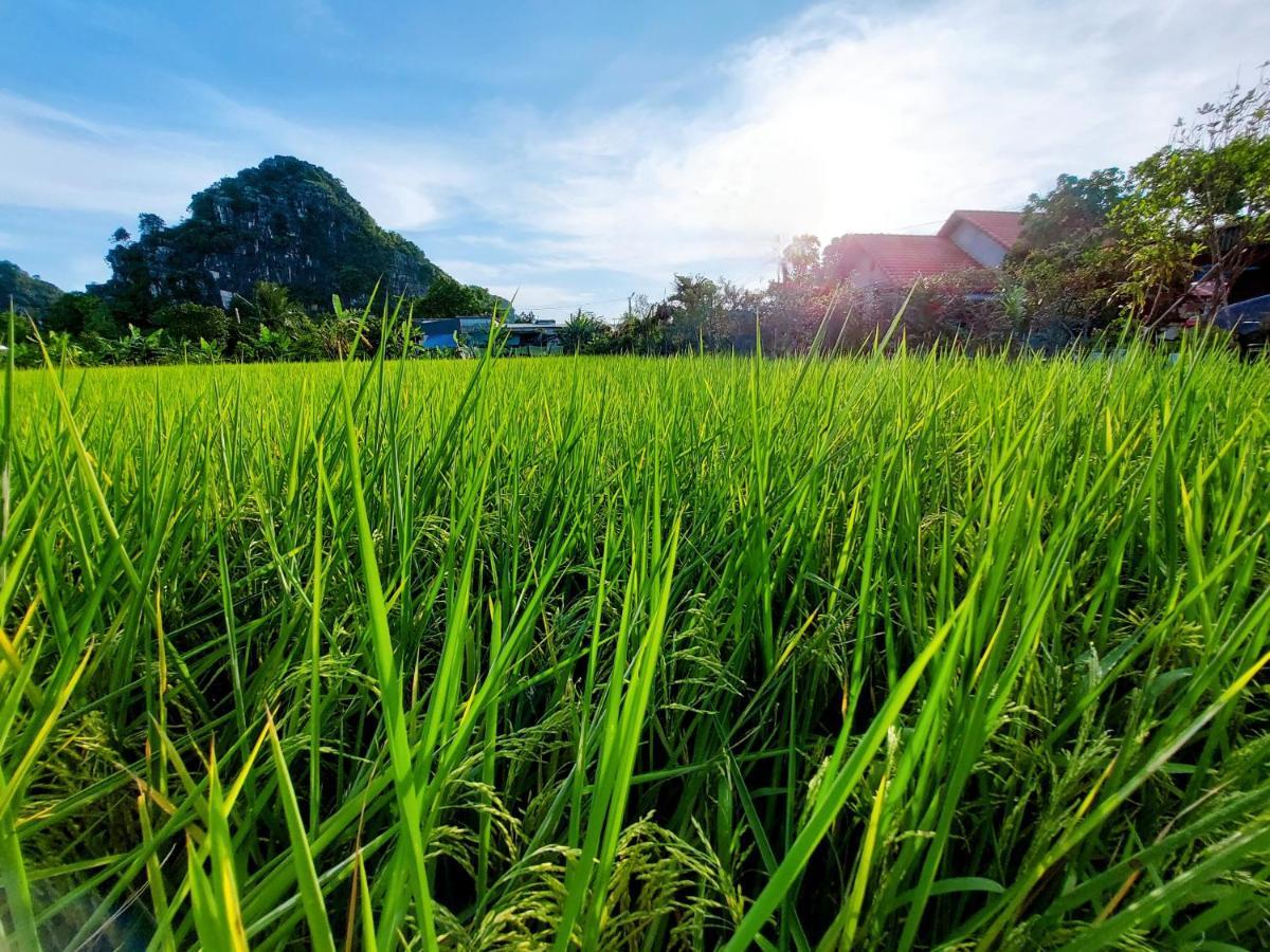 Ninh Binh Green Farmstay La Phu  Buitenkant foto