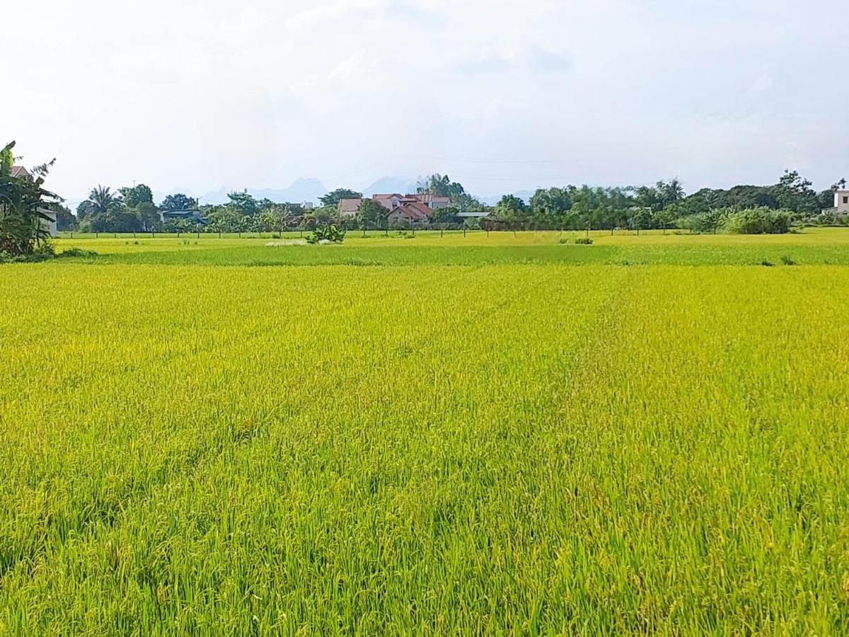 Ninh Binh Green Farmstay La Phu  Buitenkant foto