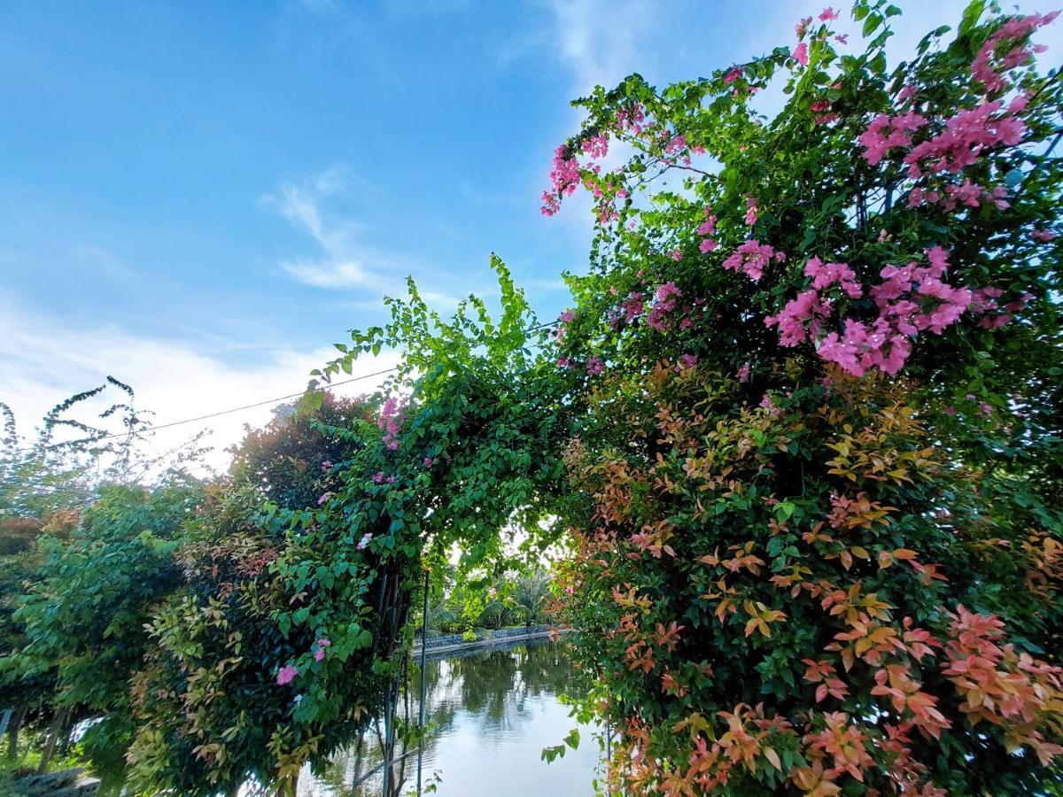 Ninh Binh Green Farmstay La Phu  Buitenkant foto