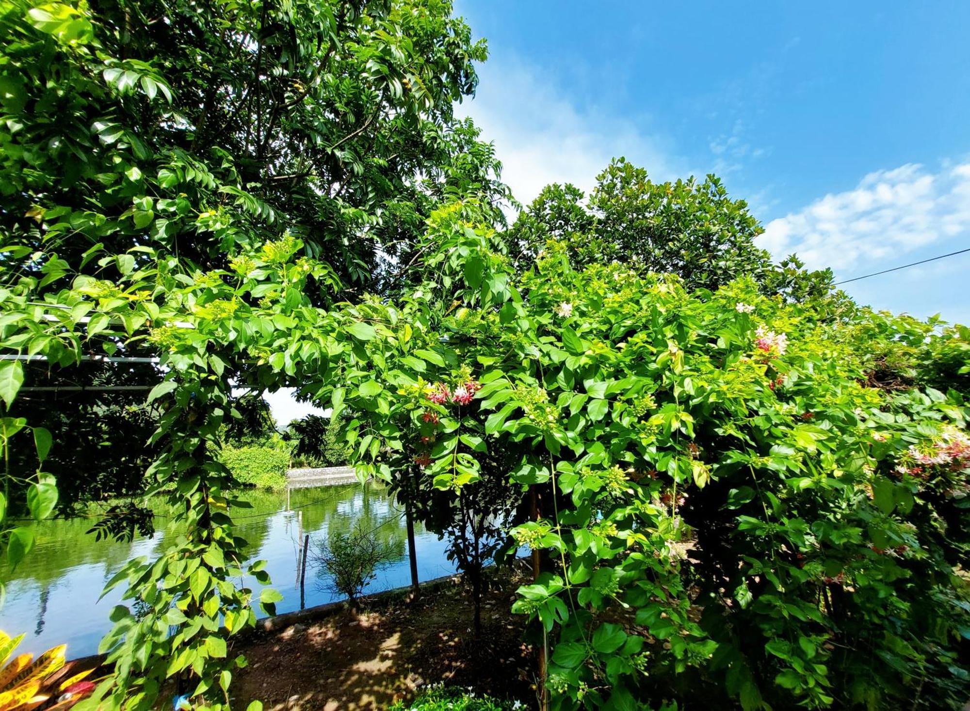 Ninh Binh Green Farmstay La Phu  Buitenkant foto