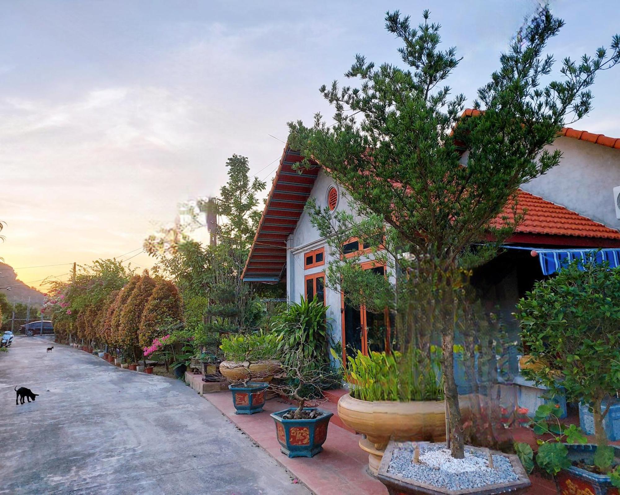 Ninh Binh Green Farmstay La Phu  Buitenkant foto