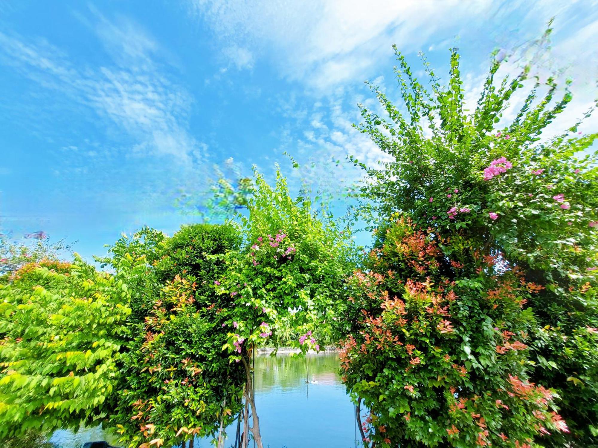 Ninh Binh Green Farmstay La Phu  Buitenkant foto